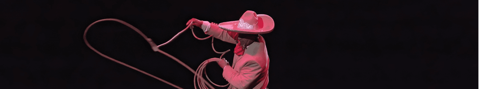 Mexican Rodeo 2004, a man wearing a sombrero swings a rope while sitting on a horse.