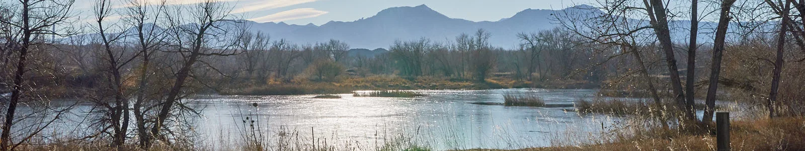 Walden Ponds